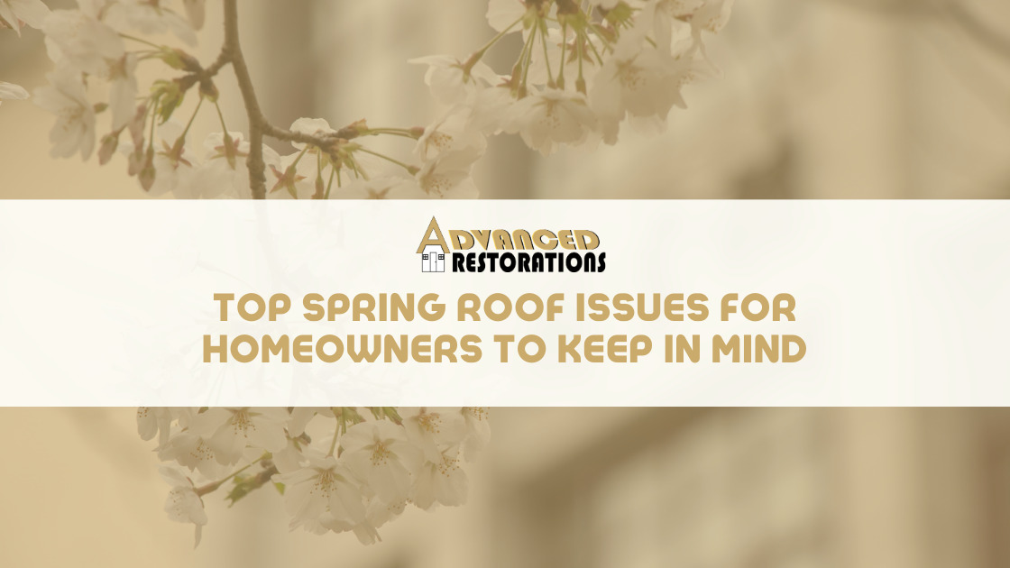 Top Spring Roof Issues for Homeowners to Keep in Mind Advanced Restorations Blog Cover