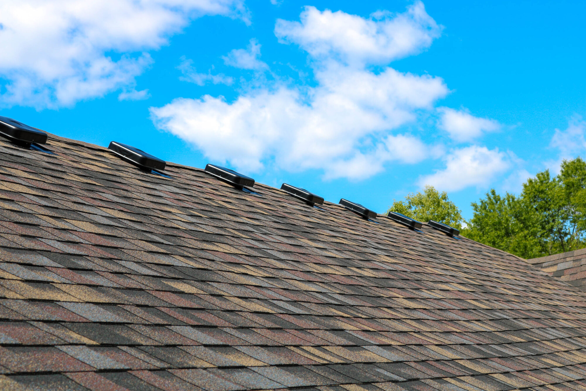 The Pink Shirt Roofers 20 Image