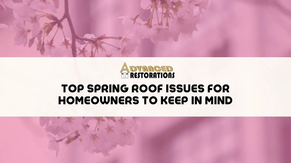Top Spring Roof Issues for Homeowners to Keep in Mind