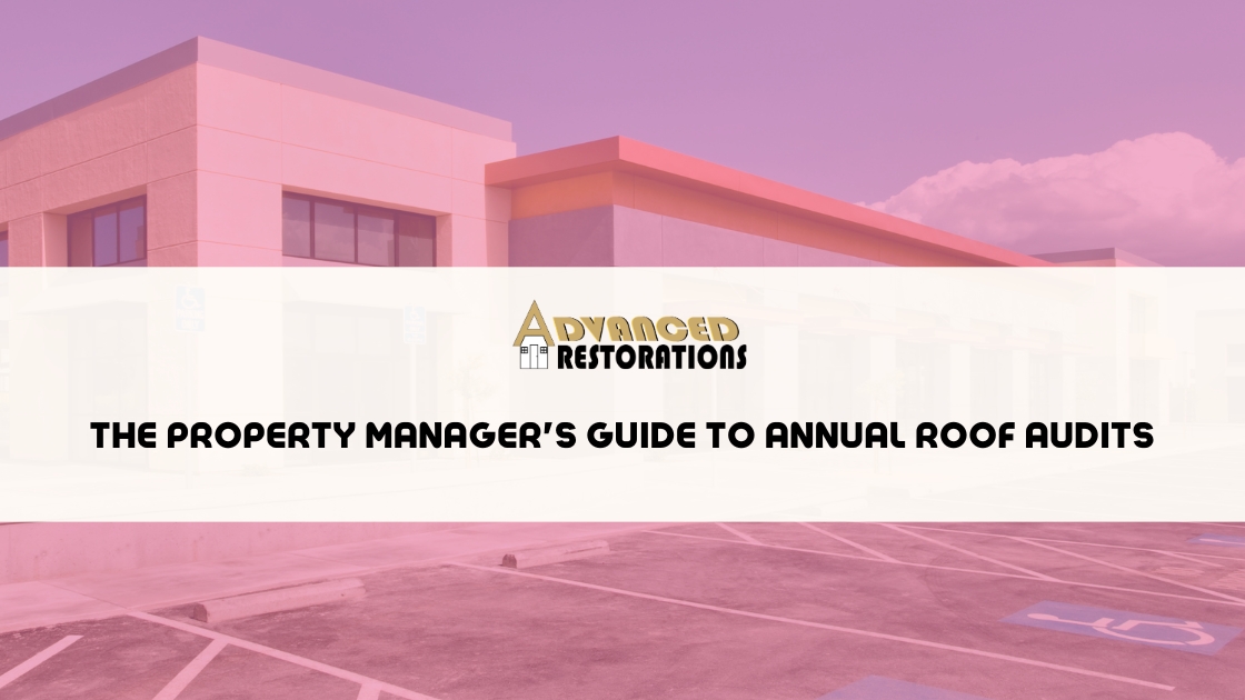 The Pink Shirt Roofers 12 Featured image for “The Property Manager’s Guide to Annual Roof Audits”