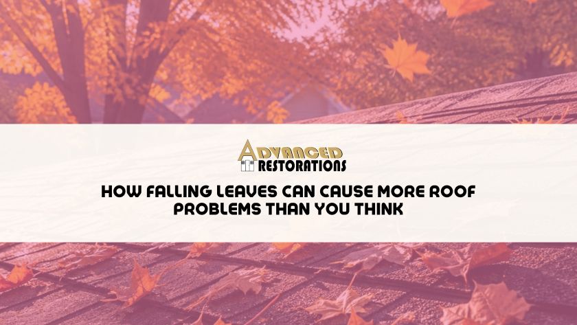 The Pink Shirt Roofers 12 Featured image for “How Falling Leaves Can Cause More Roof Problems Than You Think”