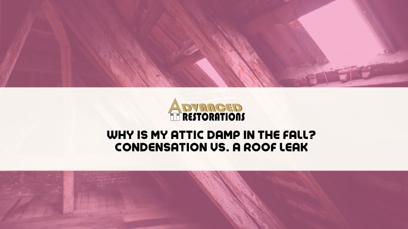 The Pink Shirt Roofers 13 Featured image for “Why Is My Attic Damp in the Fall? Condensation vs a Roof Leak”